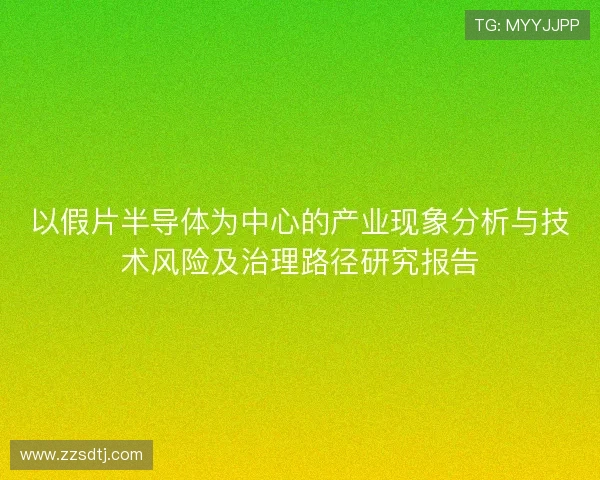 以假片半导体为中心的产业现象分析与技术风险及治理路径研究报告 以假片半导体为中心的产业现象分析与技术风险及治理路径研究报告