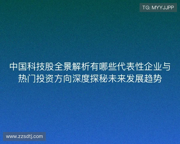 中国科技股全景解析有哪些代表性企业与热门投资方向深度探秘未来发展趋势